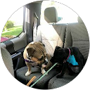 Melinda hobbs profile picture